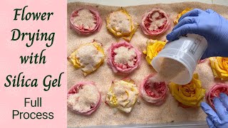 Flower Drying with Silica Gel - Drying Roses for Flower Preservation in Epoxy Resin Tutorial