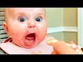 Hilarious funny babys compilation  laugh out loud with cute babies