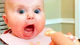 Hilarious Funny Baby Videos Compilation  Laugh Out Loud with Cute Babies