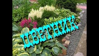 💕ЦВЕТНИК/ КАК УКРАСИТЬ ДВОР/ИДЕИ ДЛЯ САДА/FLOWER-GARDEN/IDEAS FOR THE GARDEN/Нанули Лада👍 💕ЦВЕТНИК/ КАК УКРАСИТЬ ДВОР/ИДЕИ ДЛЯ САДА/FLOWER-GARDEN/IDEAS FOR THE GARDEN/Нанули Лада👍