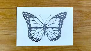 How to draw a butterfly step by step easy for beginners