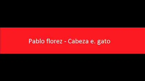 Pablo florez - Cabeza e. gato.wmv