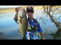 Blackbass a finales de verano | HD