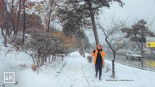 Snowy Day in Northern TEHRAN, IRAN (4K) 2023 | روز برفی در شمال تهران