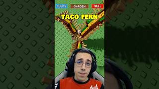 Taco Fern In Roblox Grow A Garden