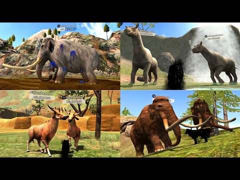 Top 20 Strongest Animals In The Wolf Online Simulator (2023 Updated)