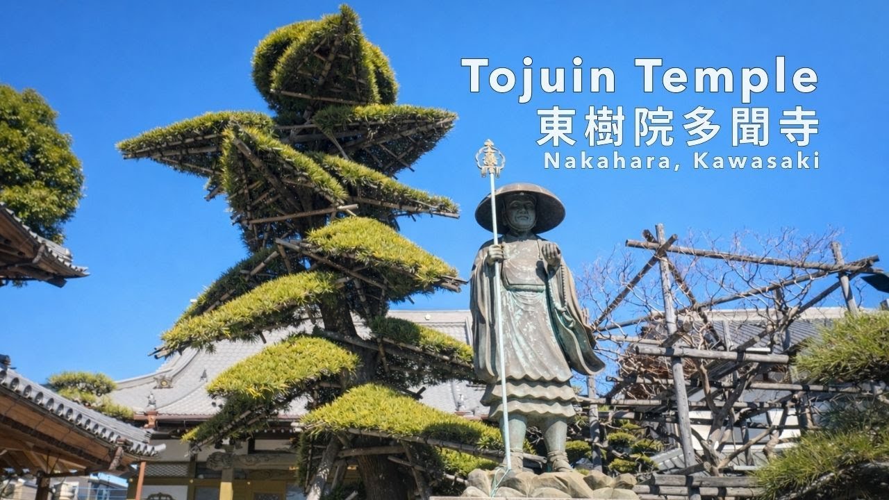 Walking Through the Japanese Garden  |  Tojuin - Nakahra, Kawasaki 東樹院多聞寺