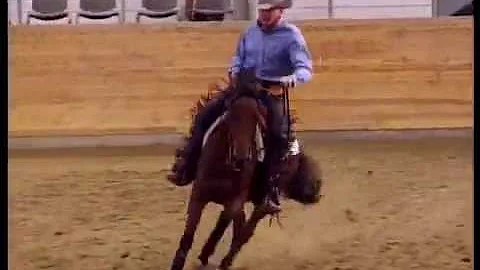 Terry Schultz - NRHA France Futurity