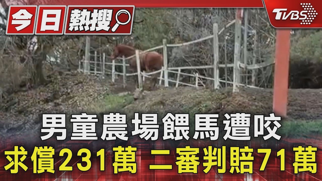男童清境農場餵馬遭咬 求償231萬 二審判賠71萬｜TVBS新聞 @TVBSNEWS01
