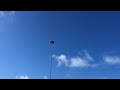 Ospreys rebuild on Islands Expressway light pole