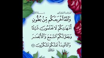 سورة النحل الآية ( 78 )