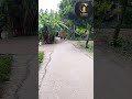 টাকা খুব দরকারী।।#জীবনেরকষ্ট #অনুপ্রেরণা #motivationalvideo #বাংলাউক্তি  #lifequotes #emotional