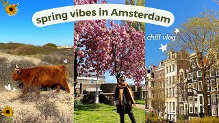 LIFE IN AMSTERDAM RECENTLY | sunny days, haarlem daytrip, new job ❣