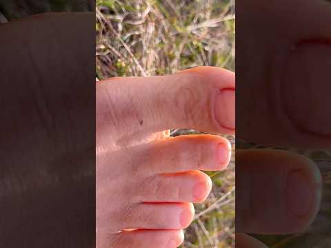 relax and bask in the sun barefoot 👣
