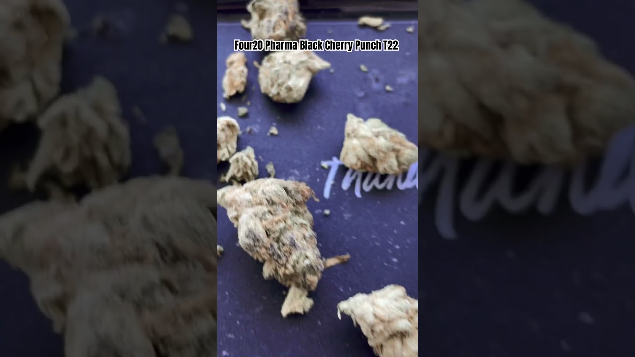 Four20 Pharma Black Cherry Punch (meedy) T22 