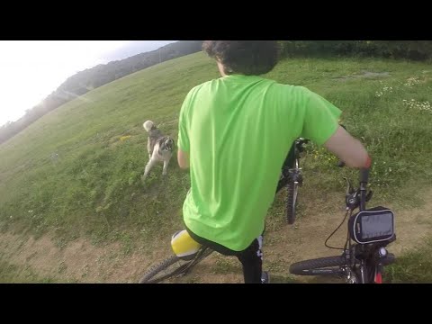 კიკეთი-კოჯორი ველო