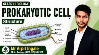 Prokaryotic Cell | Bacteria Cell Structure Explained | In Hindi