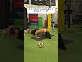 Record Du Monde Un Homme Qui A Fait Des Pompes Pendant 4 Mois Sans Même Dormir Pompes Record Du Monde Un Homme Qui A Fait Des Pompes Pendant 4 Mois Sans Même Dormir Pompes