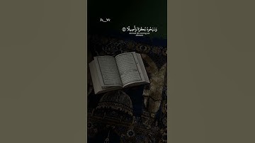 سورة الاحزاب#بصوت ياسر الدوسري