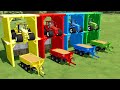 FARMING AND LOADING ! TRANSPORT OF LOADERS WITH COLORED LARGE TRACTORS ! Farming Simulator 22