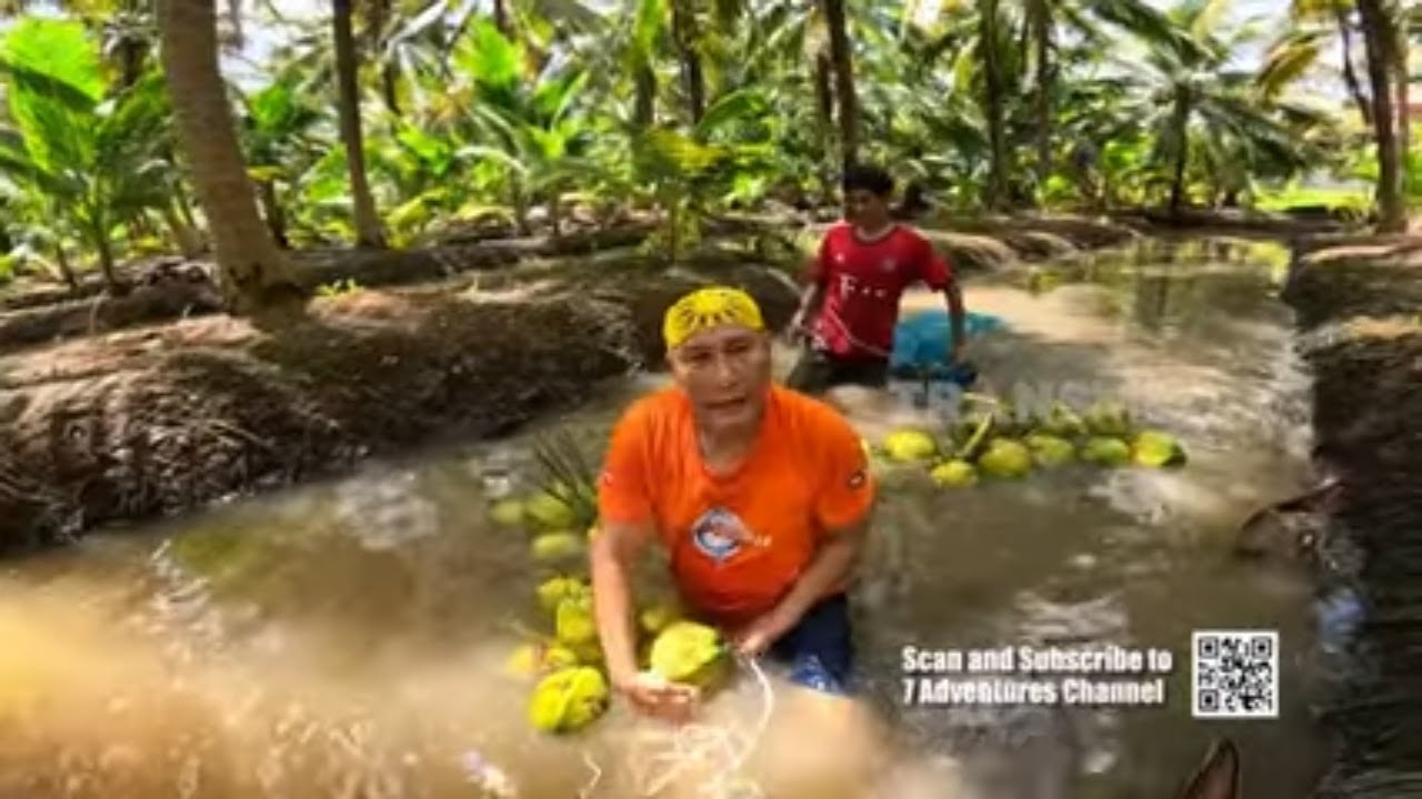 Pengalaman Si Gundul Panen Kelapa di Ratchaburi, Thailand | JEJAK SI GUNDUL (28/09/25) Part 2