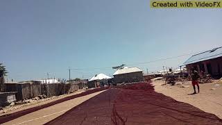 Maajabu ya mamba amechomaka majini