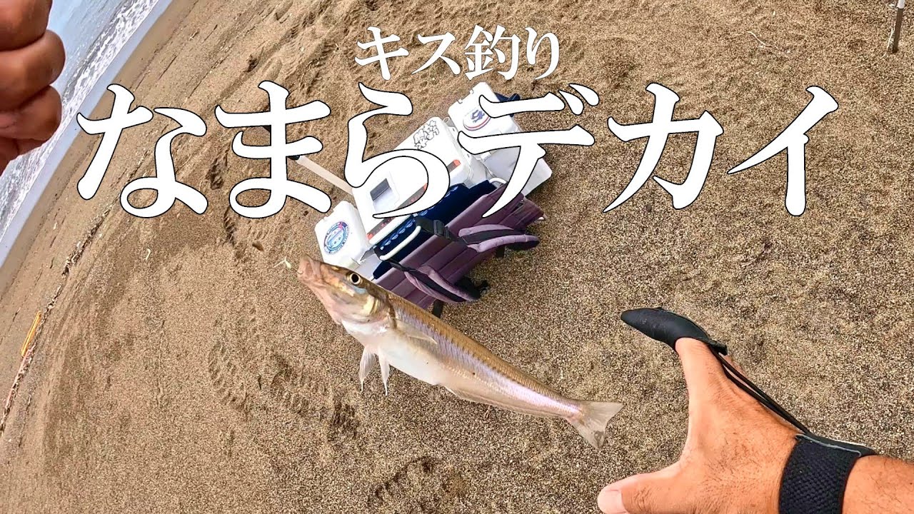 【キス釣り】800キロ先にある広大なサーフでデカギスを狙うというオヤジのロマン