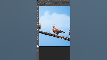 TIP Ghép Hình Với Patch Tool | Học Adobe Photoshop Cùng Bác Dũng #9