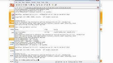 02.25.01_Oracle_10gR2_RACDG_2.25.1 Re-compile Invalid Objects(2012_01_13).flv