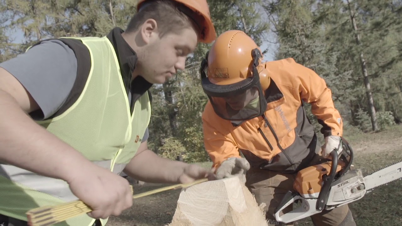 Maturantski video - gozdarski tehnik 2018