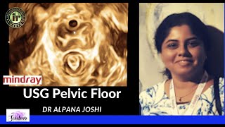 ALPANA JOSHI | USG OF PELVIC FLOOR | MINDRAY WORKSHOP | SONOBUZZ VIRTUAL