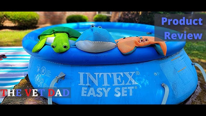 lejlighed stewardesse eksil INTEX Easy Set Pool 10ft x 30in Set Up Whit Intex Pool Unboxing and Review  STEP BY STEP INSTRUCTIONS - YouTube