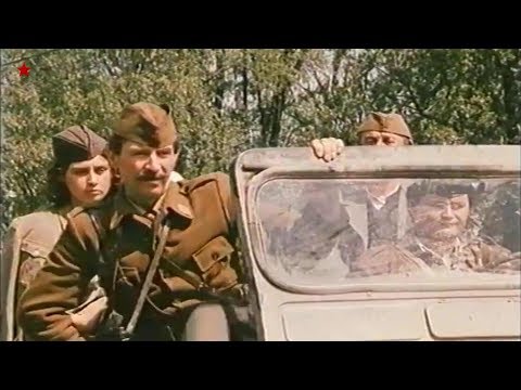 Ljubiša Samardžić - Bagro jedna domobranska i ustaška! Hitler kaput!