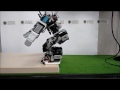 Bioloid humanoid robot controlled by BeagleBone Black board