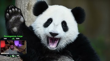 Gladd - Nov. 01, 2024 (Pt. 1) | Monster Hunter Wilds, Terraria