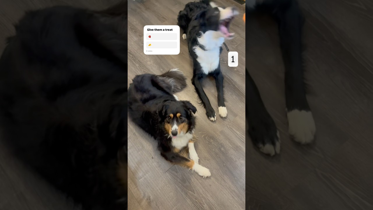 Who did better? They’re usually great catchers 