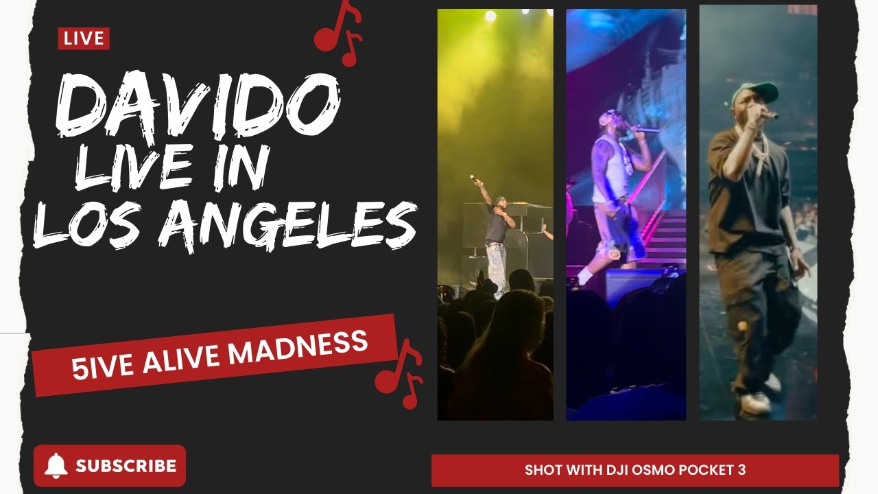 Unfiltered Davido Concert Experience 🎤 | Five Alive Tour 2025 in LA (Shot on DJI Pocket 3)