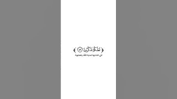 كروما شاشة بيضاء قرآن كريم 🌿تلاوة من سورة الذاريات 🌿القارئ أنس محمد 🌿