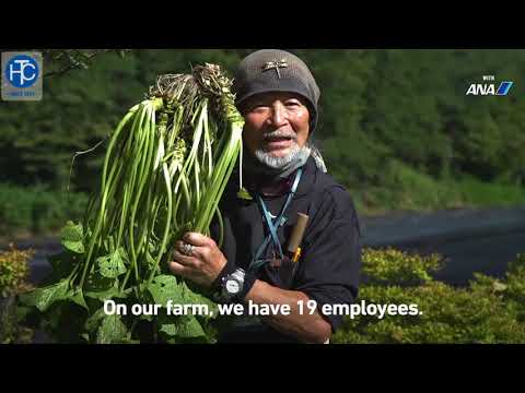 Video: Cách trồng cải ngựa: cách trồng và chăm sóc