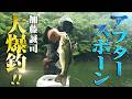 加藤誠司がアフタースポーン期の菅野ダムを攻略!必釣パターンで大爆釣! 1/2 『LURE FREAK 87』<フルver>【釣りビジョン】