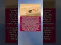 Burung parkit yg salah situasi #information