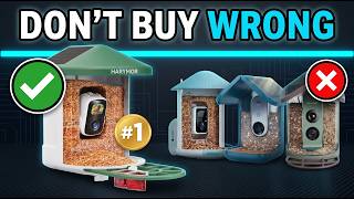 5 Best Smart Bird Feeders 2026 for Birdwatching