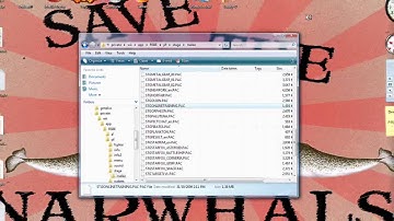 Brawl Modding Tutorial - SSE Stages