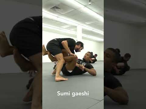 Three Butterfly Guard Sweeps Anybody Can Do