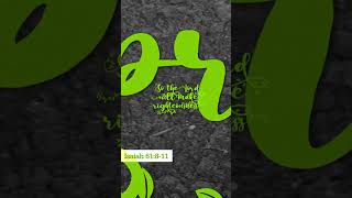 Seeds - Isaiah 61:8-11 #garden #springup #shorts