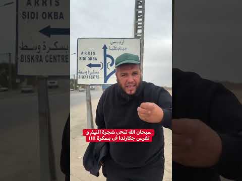 سبحان الله تنحي شجرة النيم و تغرس جكارندا في بسكرة فؤاد الجزائر الخضراء الجزائر