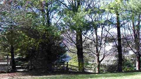 MacDev Droid  Uncapped PSP...Fastest yet.