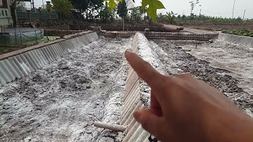 Cải Tạo Ao Nuôi Ốc - Chuẩn Bị Ao Cho Vụ Mới