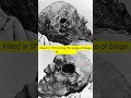 The head of Swedish king Charles XII