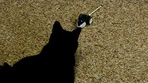 Petronics Mousr Interactive Robotic cat Toy | Plays Automatically or by Smartphone Control |